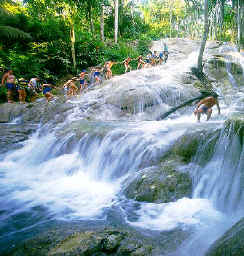 dunns river falls