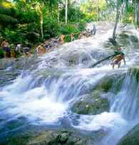 dunns_river