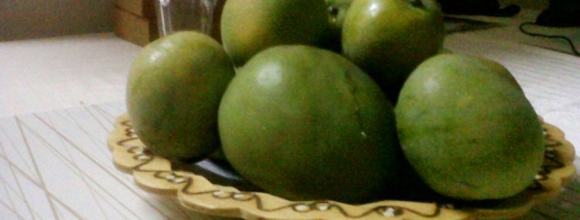 Jamaican mangoes export to USA