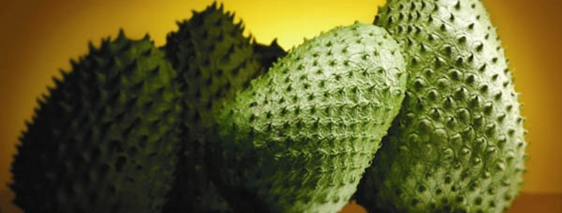 Jamaican soursop benefits
