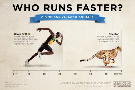 animals-vs-olympians--who-runs-faster