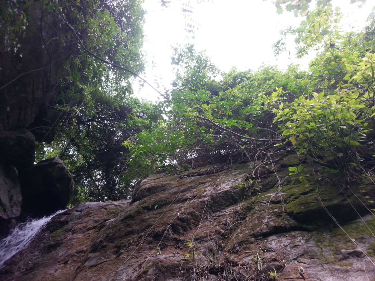 Waterfalls at Rafjam Bed and Breakfast. Courtesy of Poetess Denise Fyffe