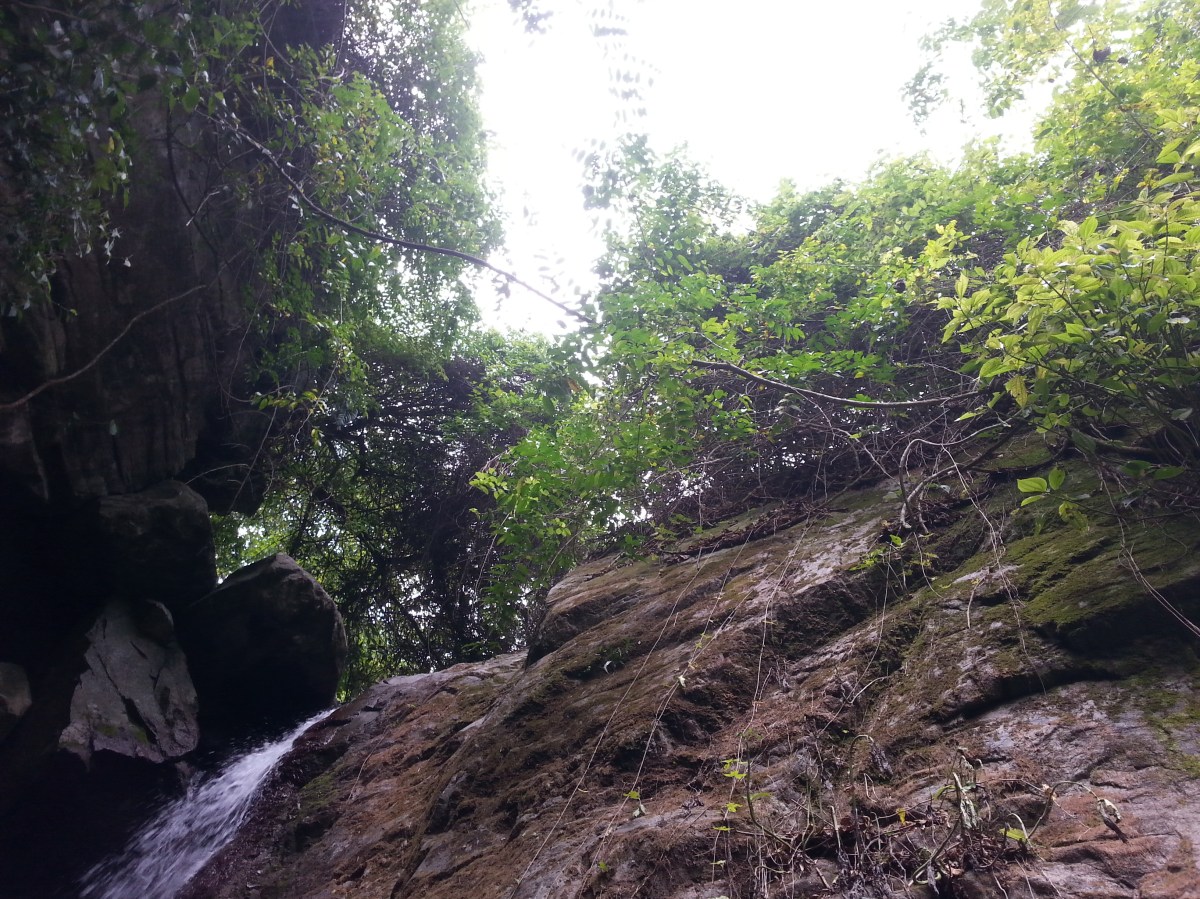 Waterfalls at Rafjam Bed and Breakfast. Courtesy of Poetess Denise Fyffe