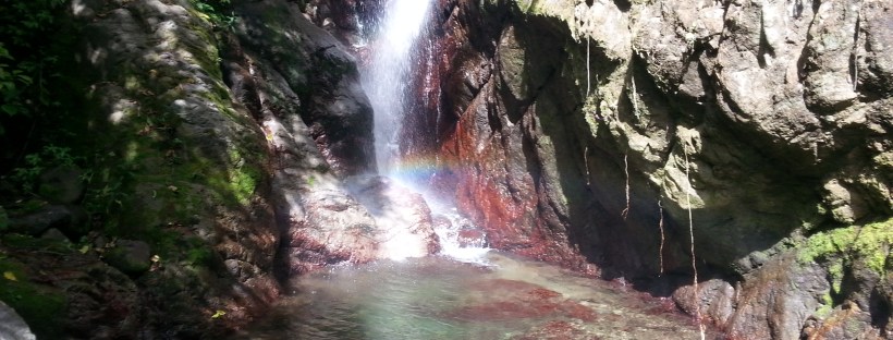 Waterfalls at Rafjam Bed and Breakfast. Courtesy of Poetess Denise Fyffe