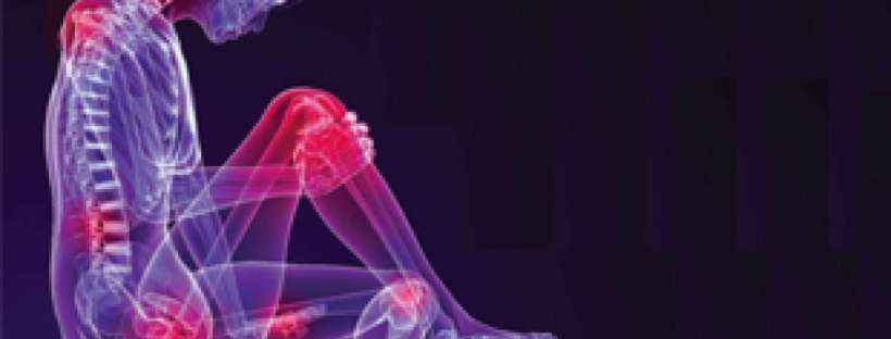 chikungunya - joint pain and fever