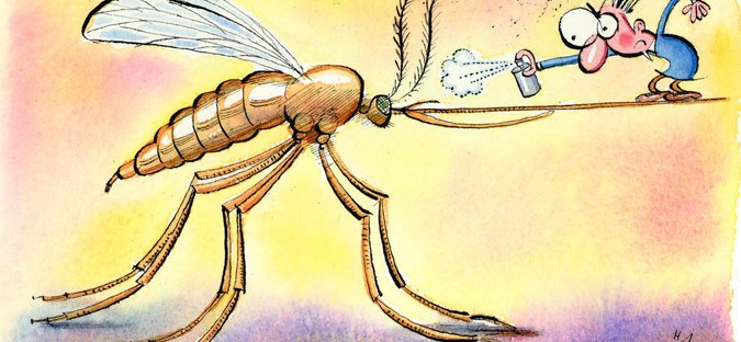 chikungunya and mosquitoes courtesy of nytimes-com