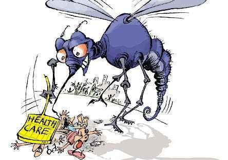 chikungunya and mosquitoes courtesy of outlookindia-com