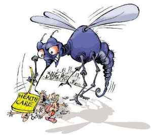 chikungunya and mosquitoes courtesy of outlookindia-com