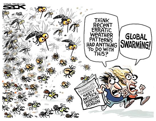 mosquito swarming courtesy of startribune-com