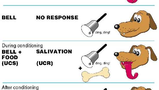 Pavlov courtesy of simplypsychology-org