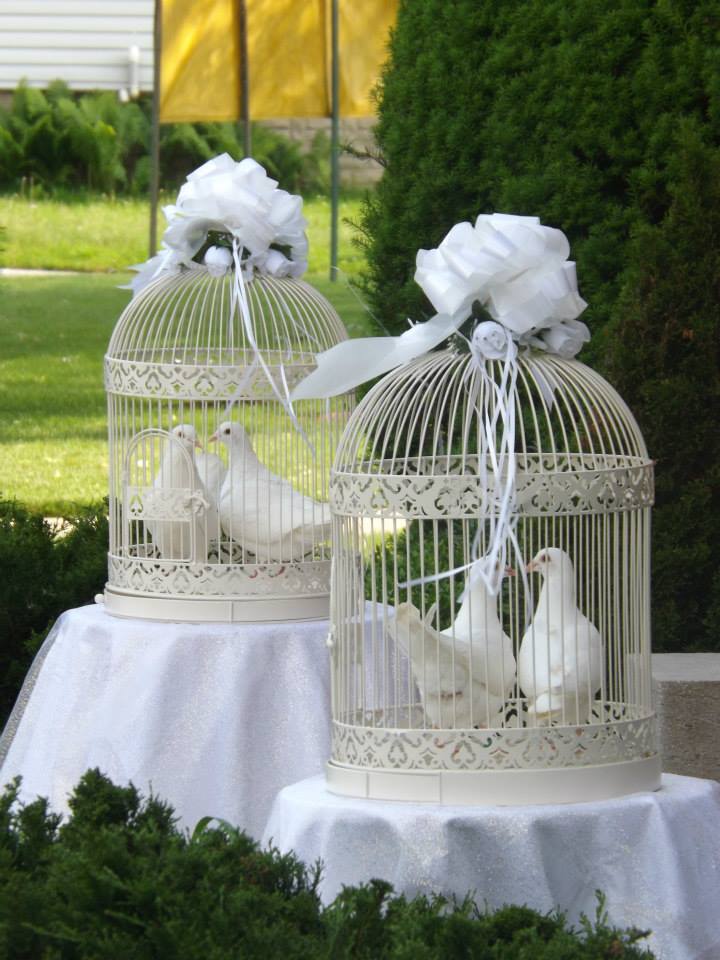 White wedding doves courtesy of discover-southern-ontario-com