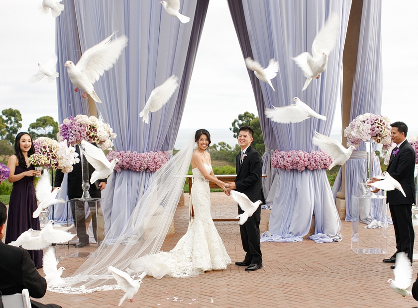 White wedding doves courtesy of wdrelease-com