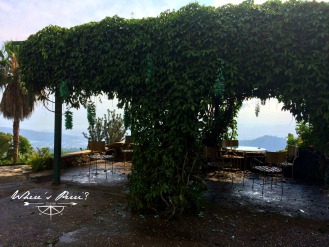 IMG-20160429-WA0073logo Strawberry Hill Jamaica