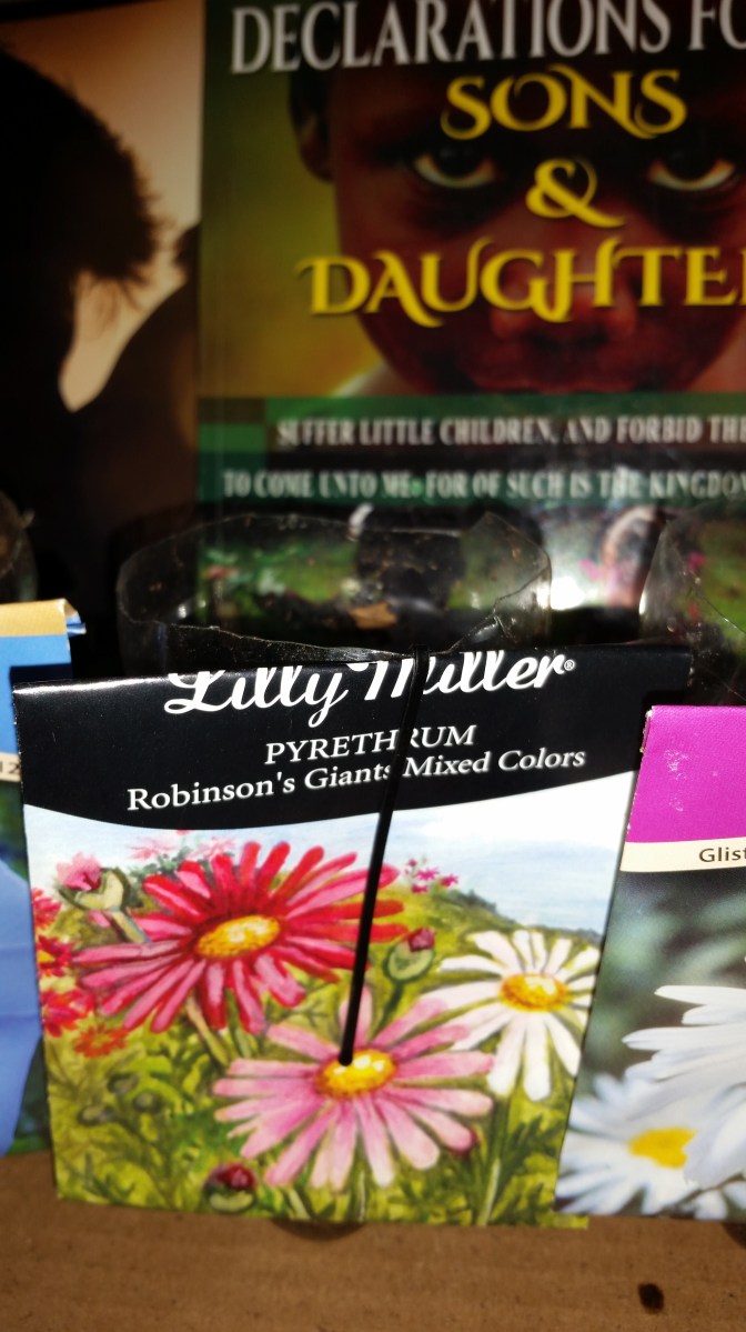 Jamaican Urban Organic Farming: Plastic Bottles for Container Gardening