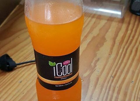 Jamaican Urban Organic Farming: Plastic Bottles for Container Gardening