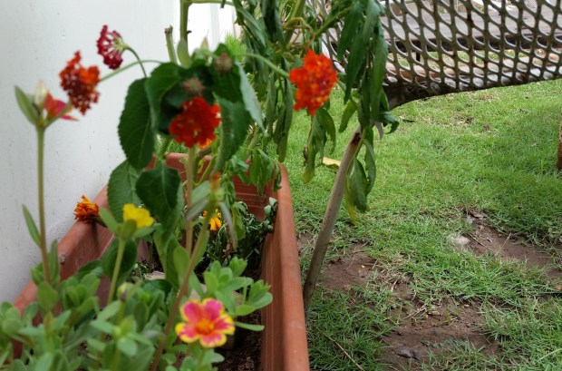 img_20160916_1815391