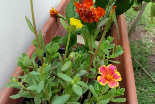 img_20160916_1823391