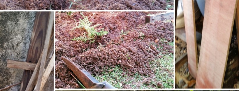 Jamaican Urban Organic Farming: Separating The Plants From The Lawn