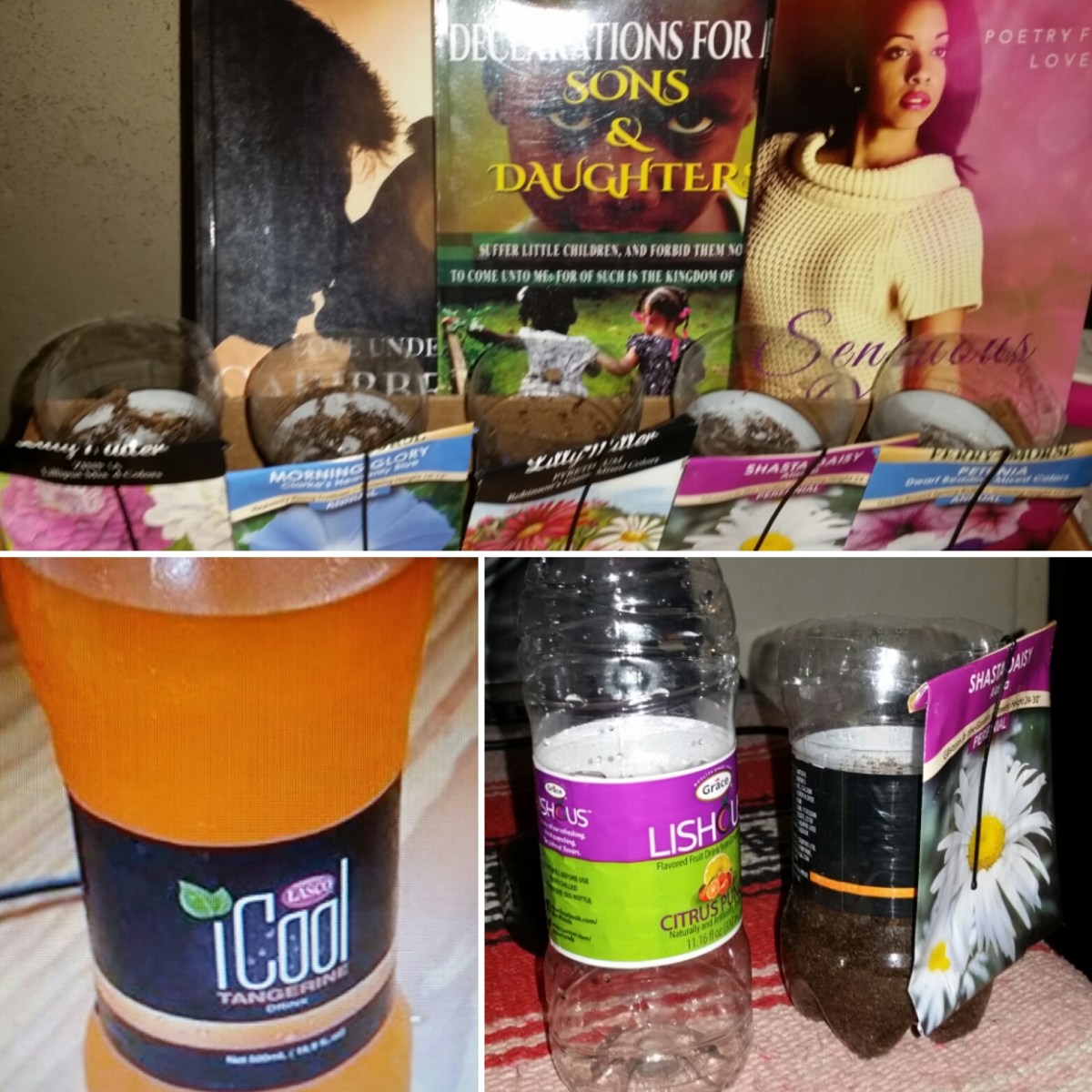 Jamaican Urban Organic Farming: Plastic ICool Bottles for Container Gardening